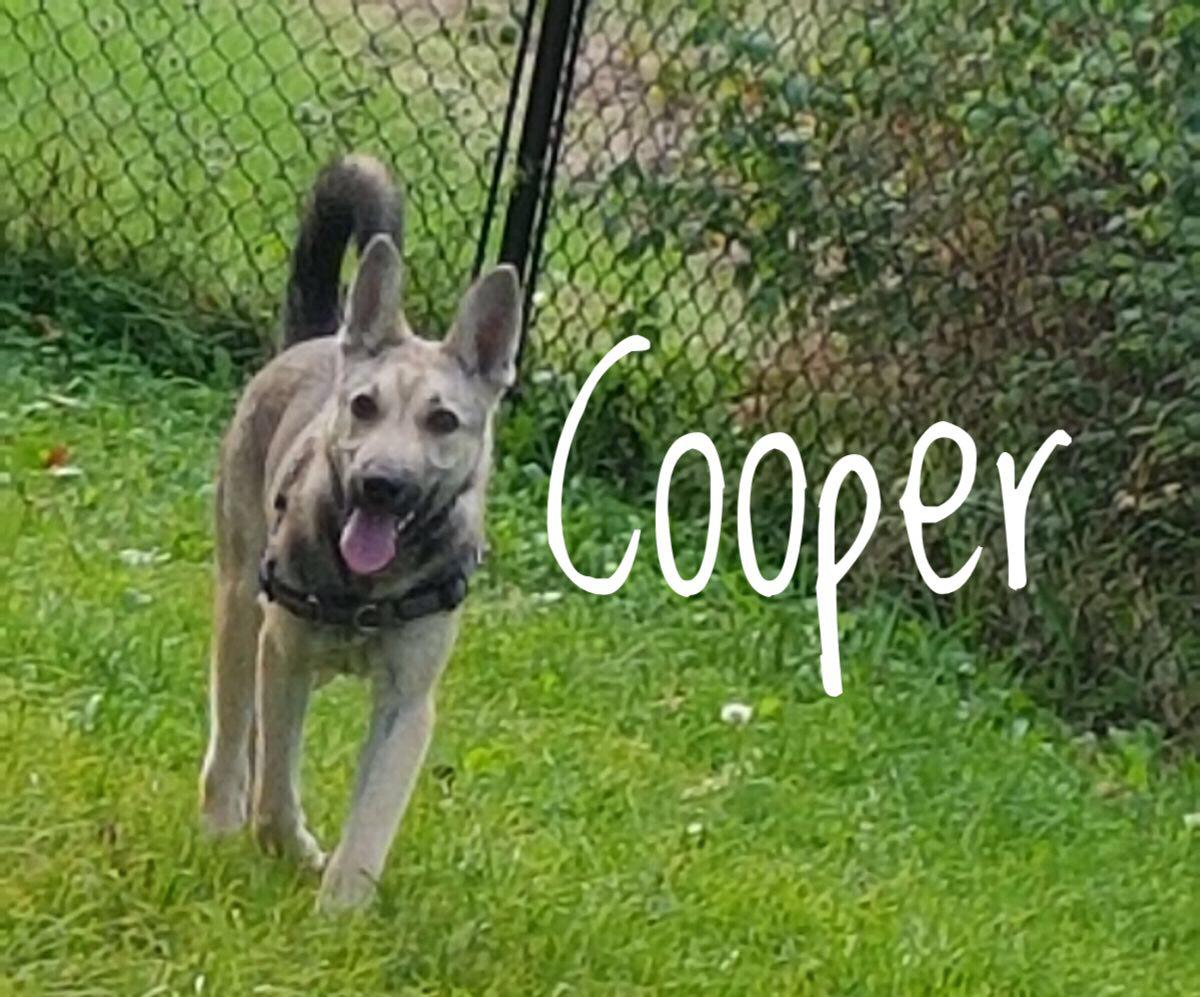 cooper – One Planet Rescue