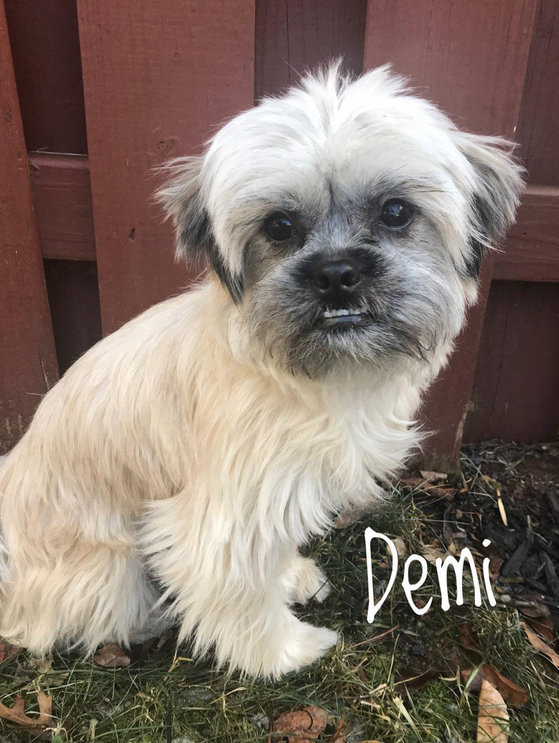 demi – One Planet Rescue