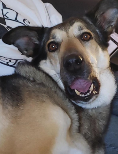 Happy Saturday! – One Planet Rescue