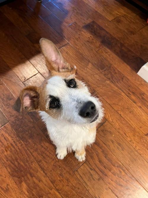 Rio – One Planet Rescue