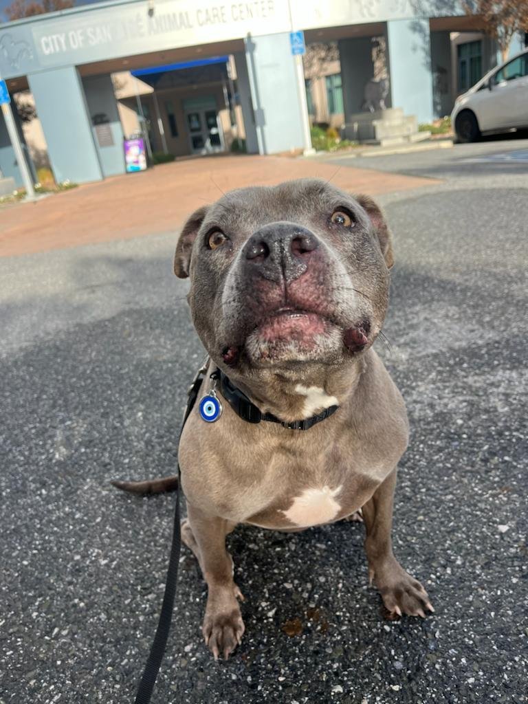 Samantha – One Planet Rescue