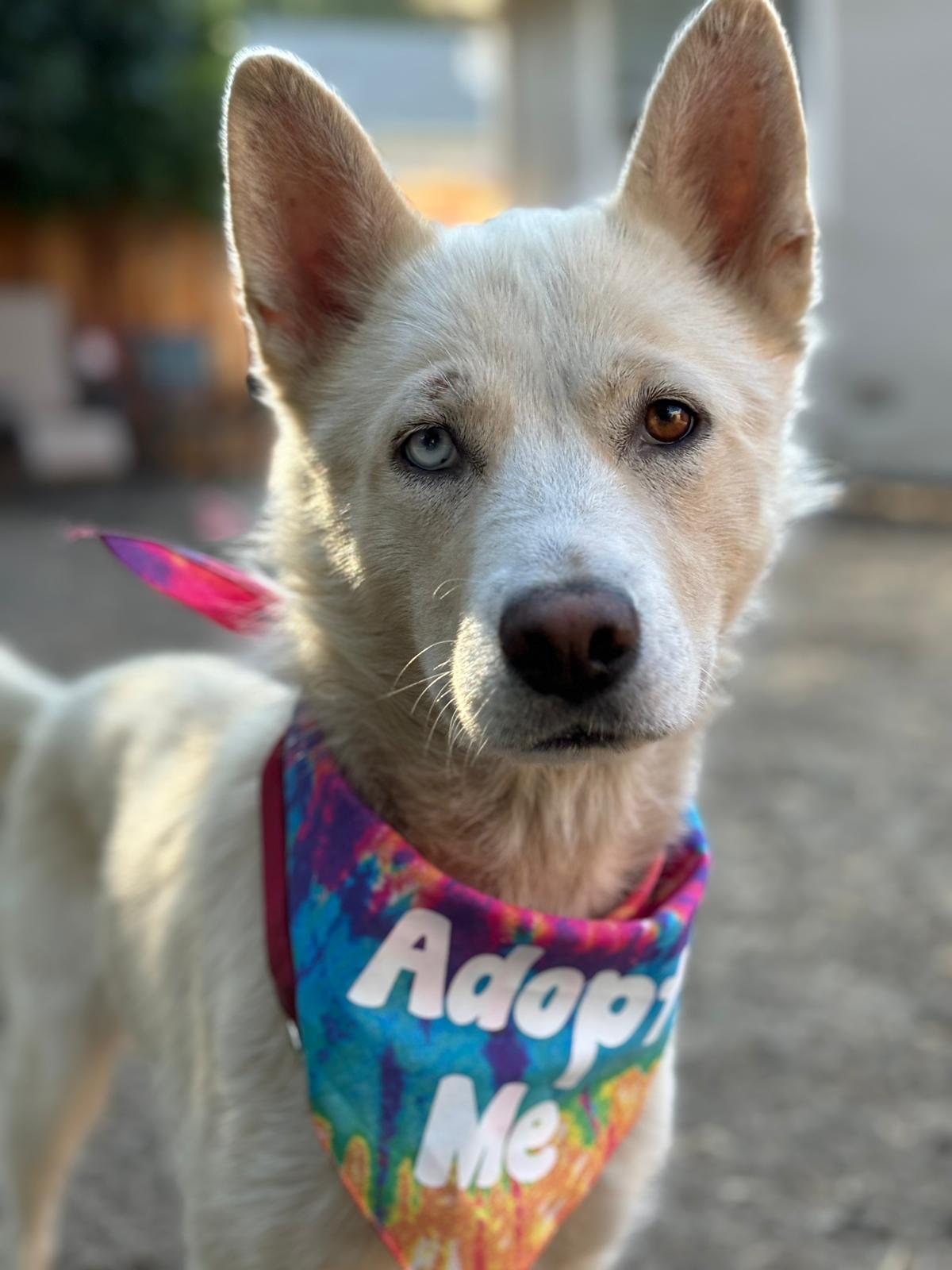 This image has an empty alt attribute; its file name is download-5.jpeg